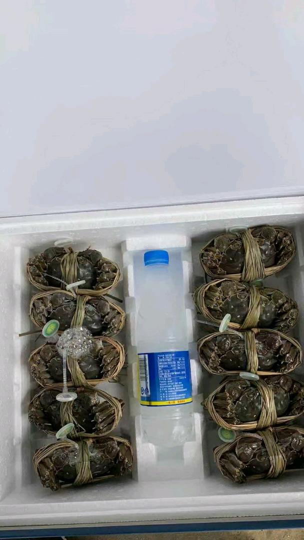 熊女士阳澄湖大闸蟹（招代理）