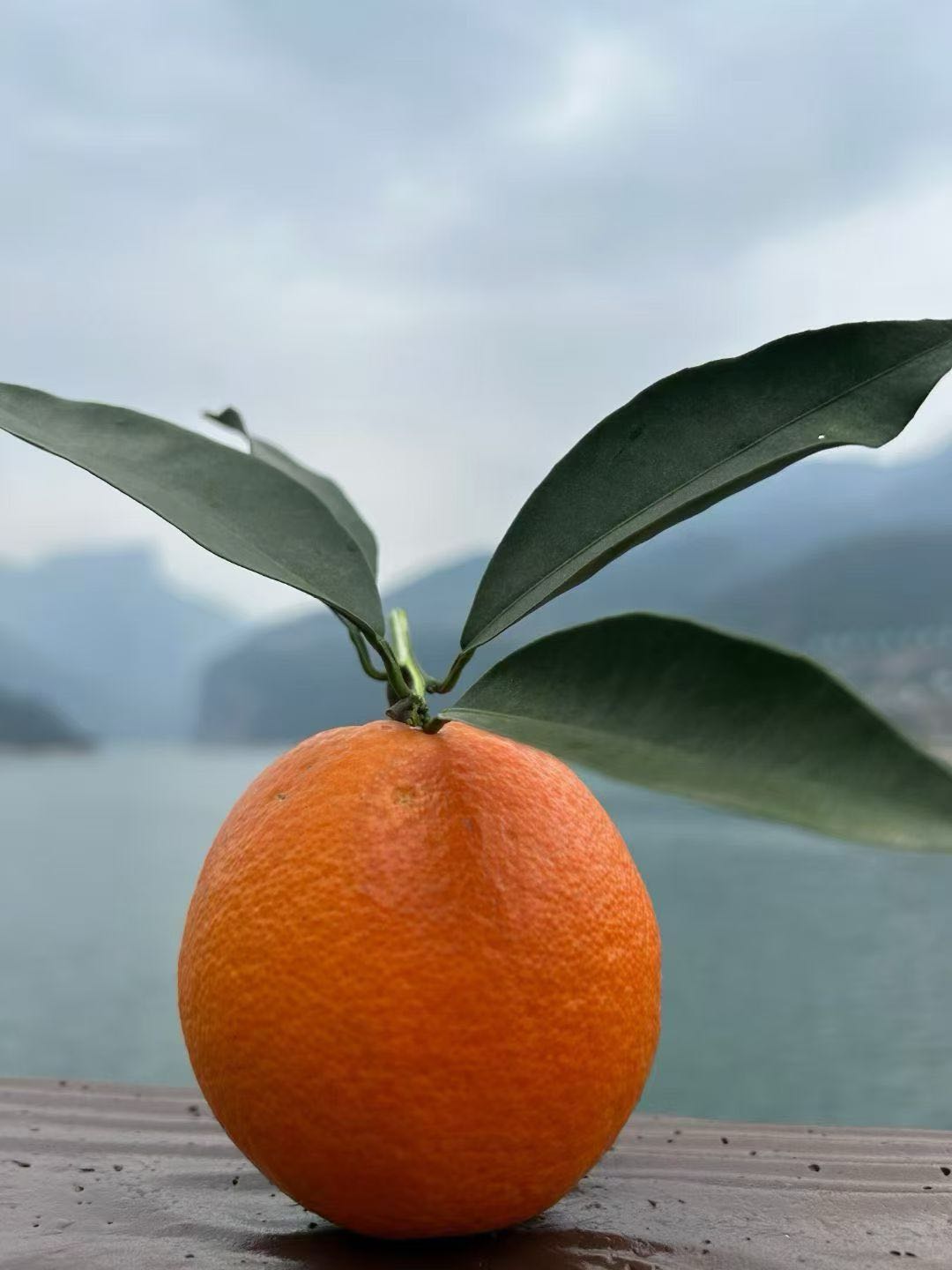 余龙敏品牌货源