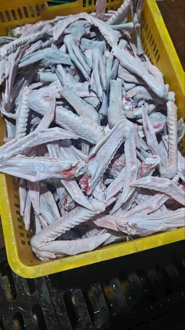 杨先生品牌货源屠宰场每日供应新鲜鹅掌亦、白鸽、鸡脚、鸡腿、鸡翅膀、海南文昌鸡