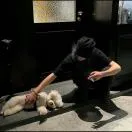 u客直谈实名认证王成傲