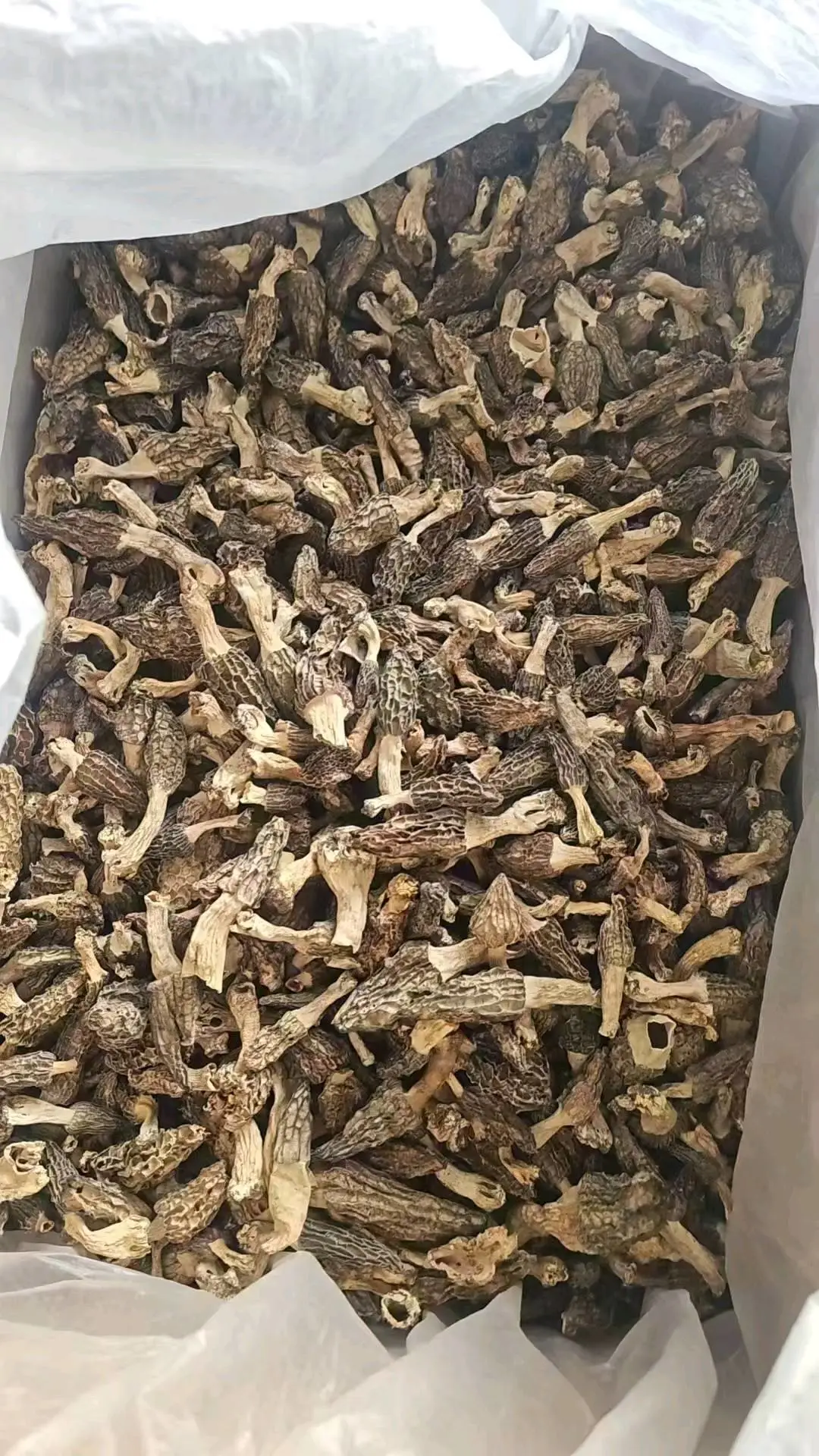 永玖尕让加措品牌货源