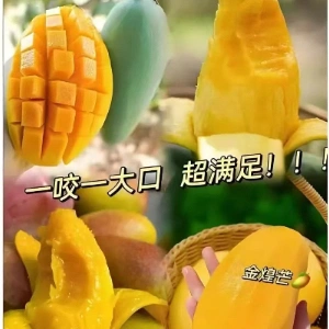 黄晋鹏
