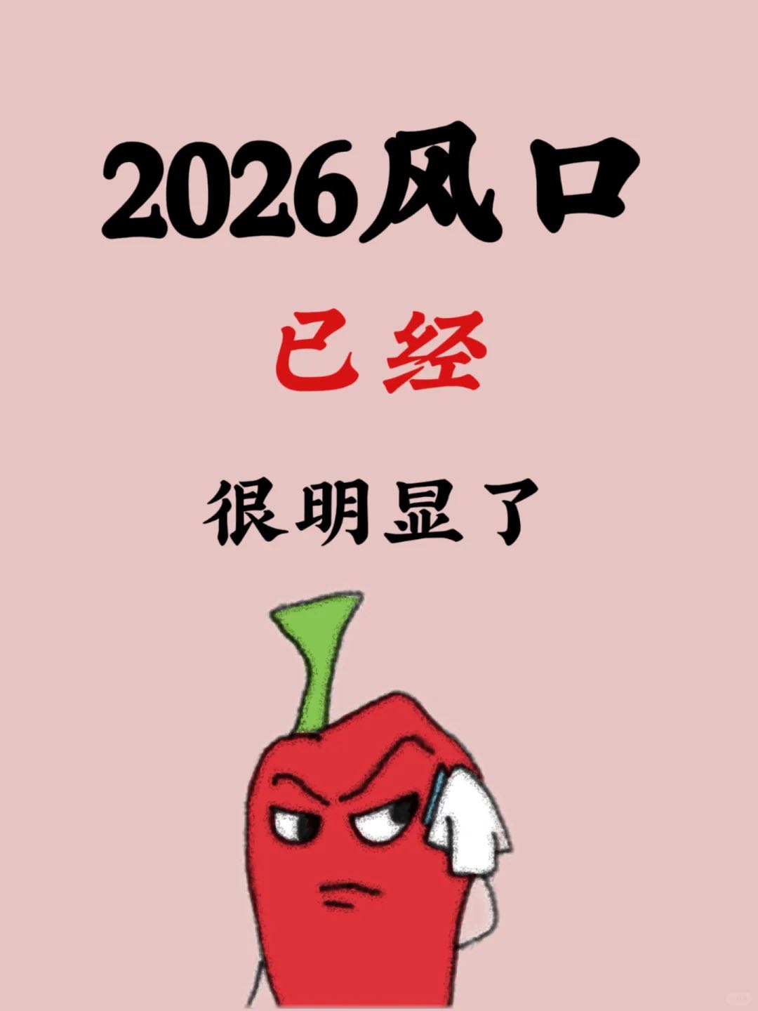 王先生找合伙人线上人力资源代招项目，全程陪跑，日结