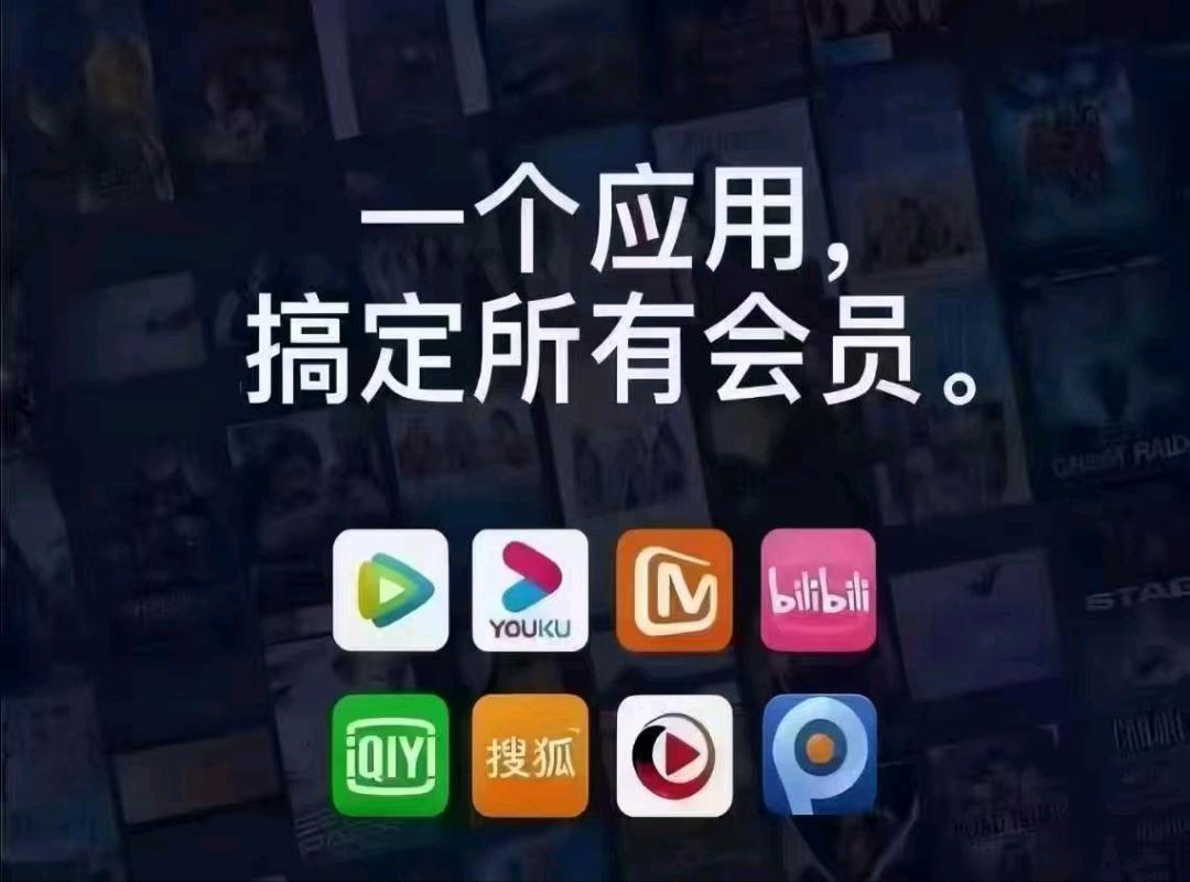 敏国花找合伙人我提供全网影视平台低价会员项目，寻找日结高利润合作方