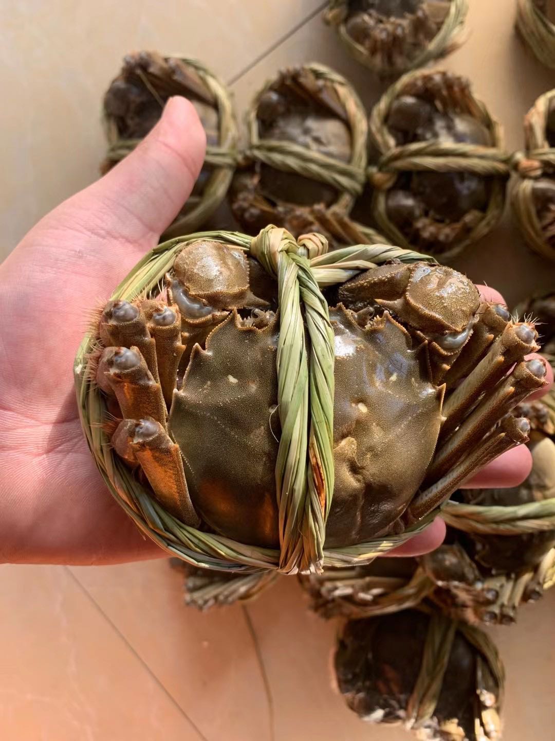 周先生品牌货源