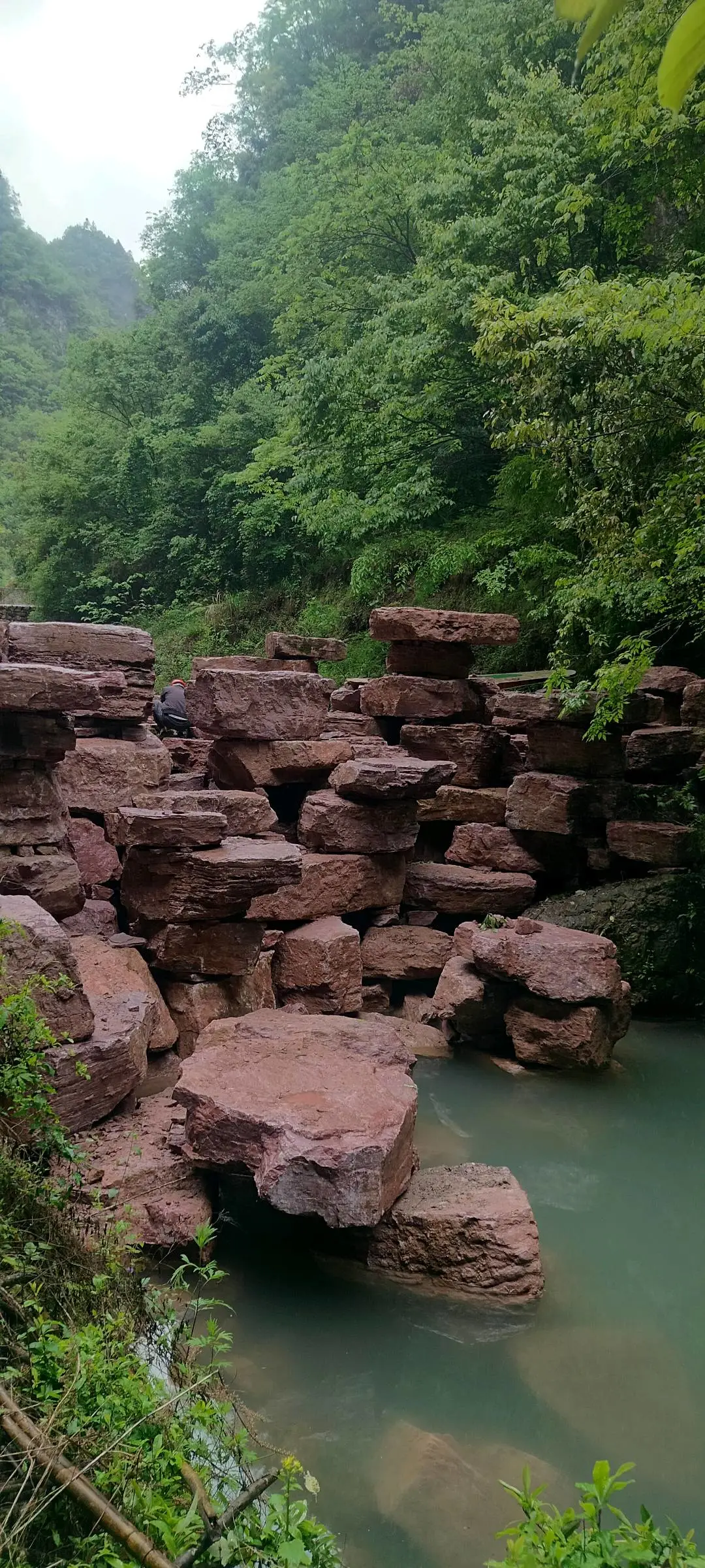 申德水专业做庭院,假山,锦鲤,鱼池池,绿化设计等施工