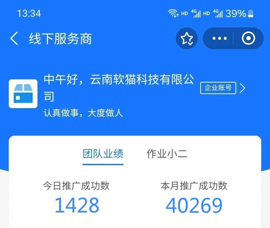 鄢女士地推项目