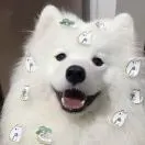 李先生