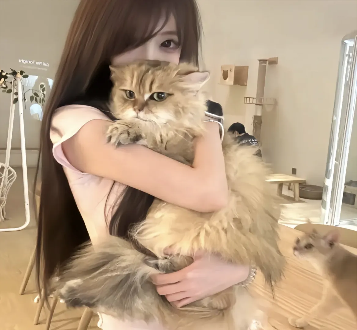 陈女士