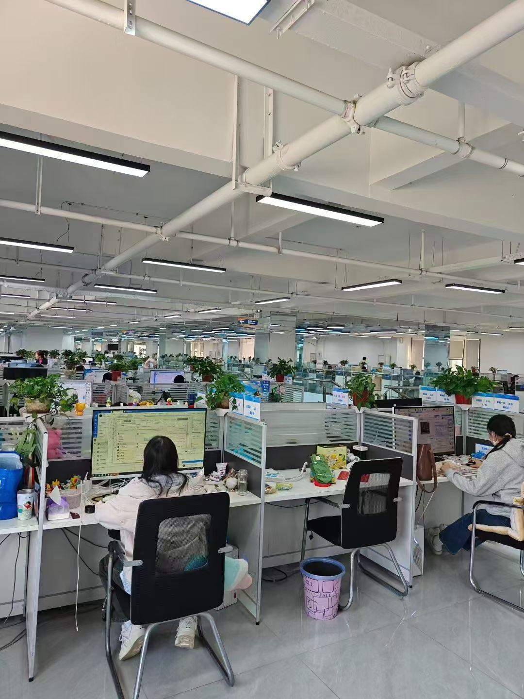 张先生电商客服外包项目