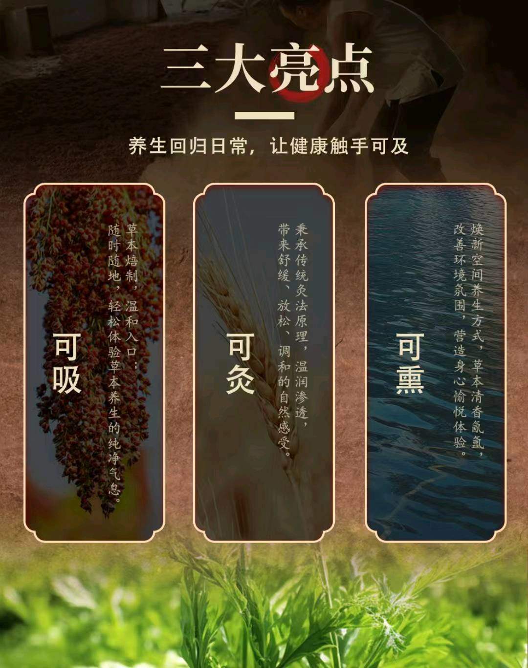 王新平品牌货源