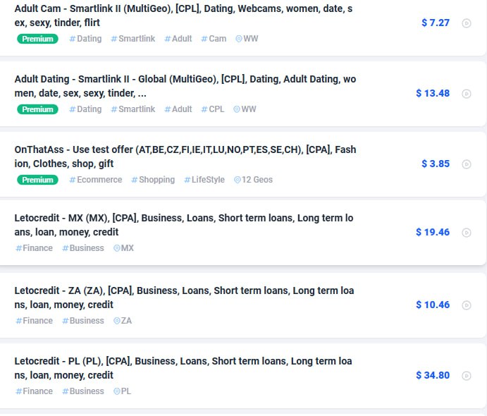 米先生其他供需海外问卷调查项目赚美刀，合作 分成模式
