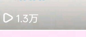 范女士其他供需