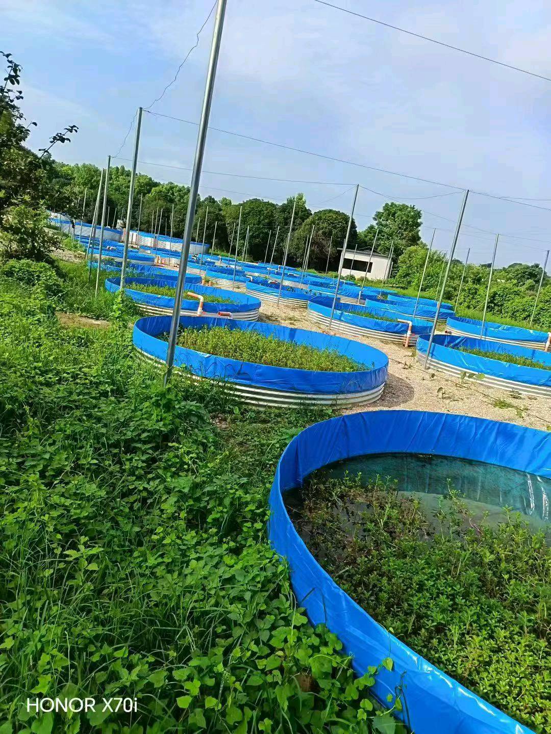 黎文文广西桂林大型水产养殖基地招养殖户