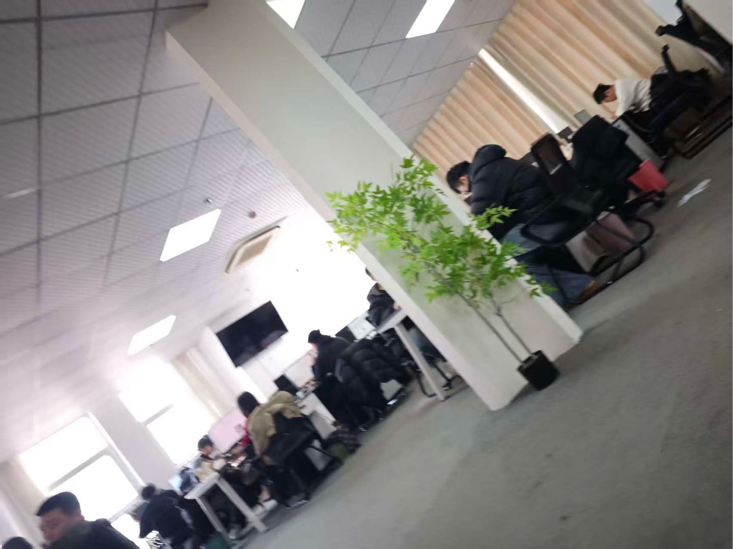 卢俊燃短剧发布员