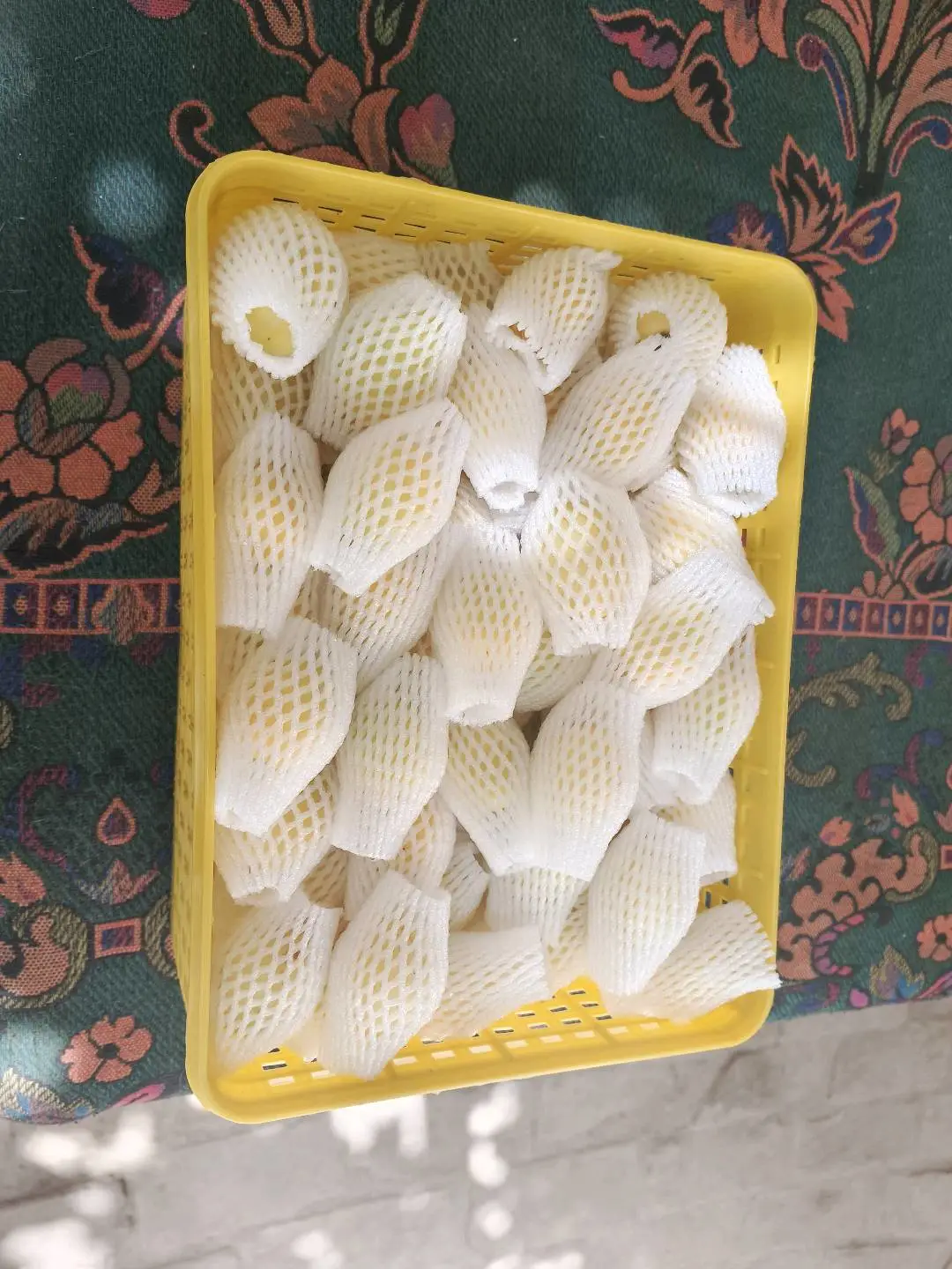 皮先生品牌货源