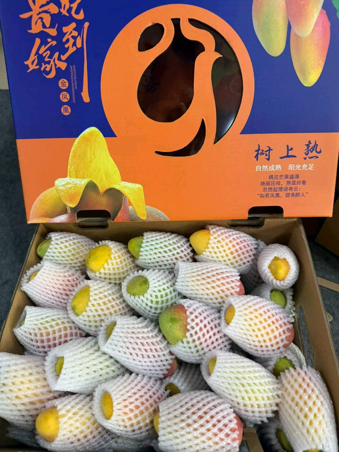 杨先生品牌货源