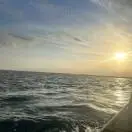 u客直谈实名认证曹先生
