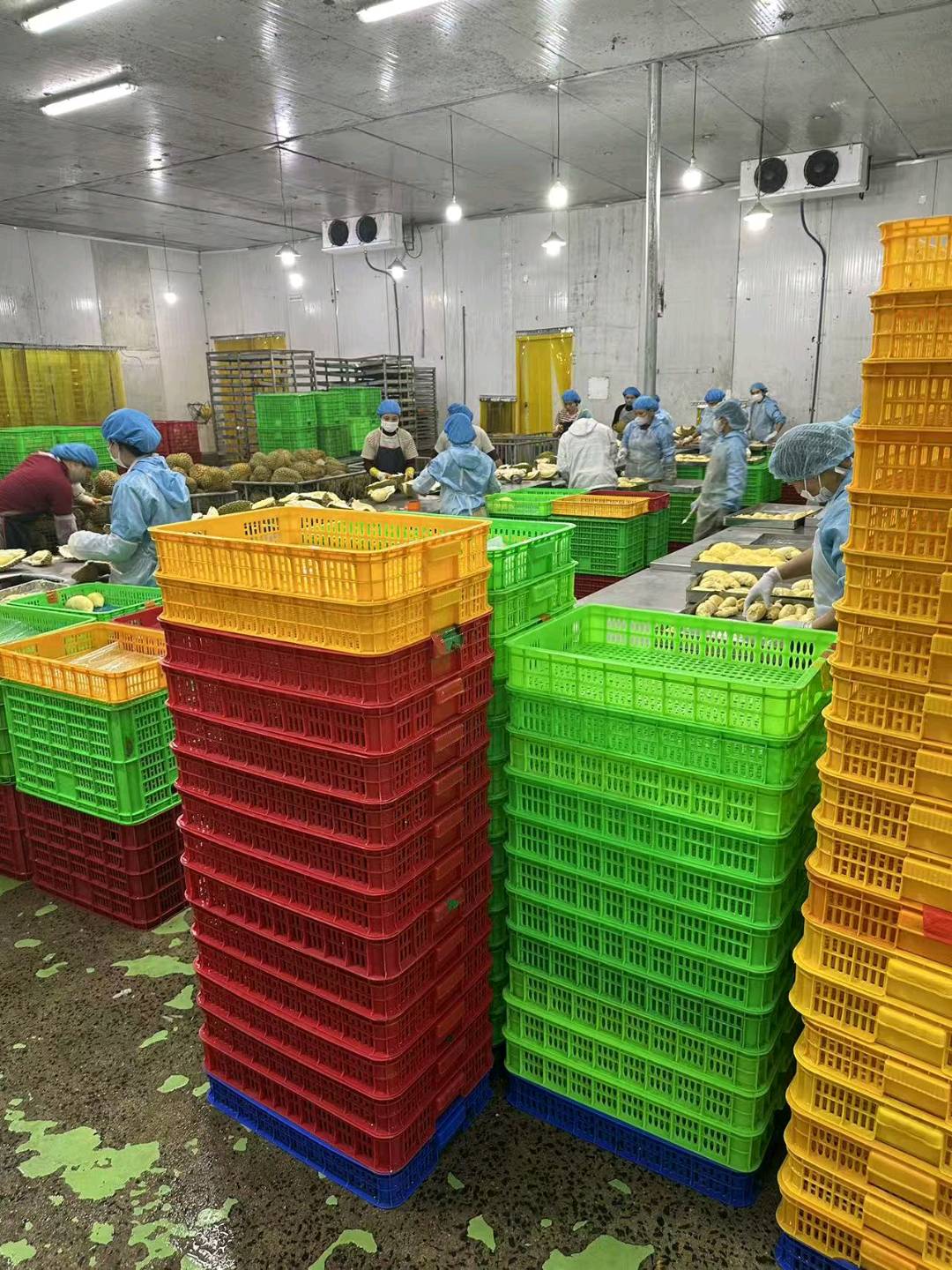 蔡先生品牌货源