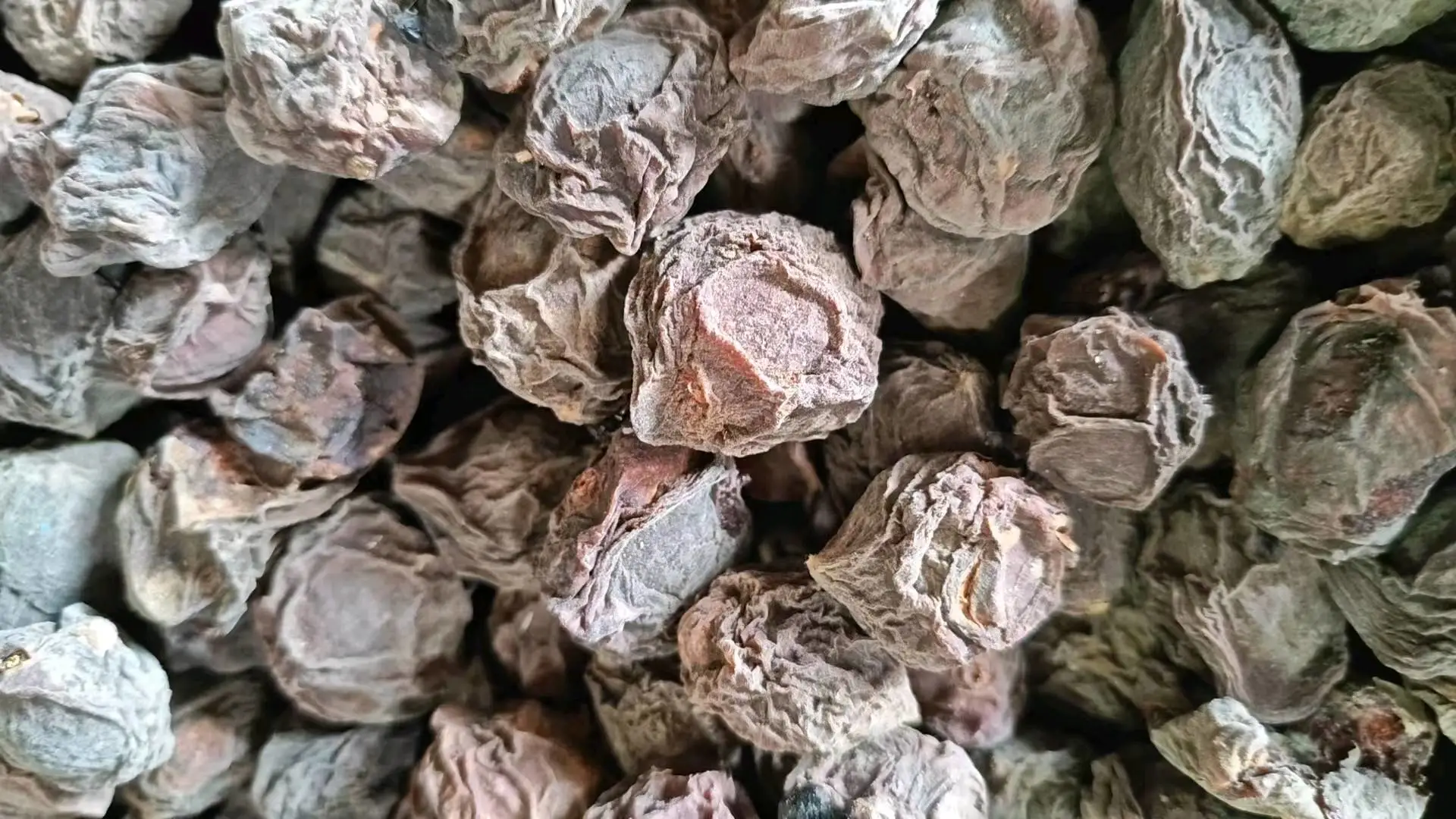 李勇品牌货源出售500吨乌梅