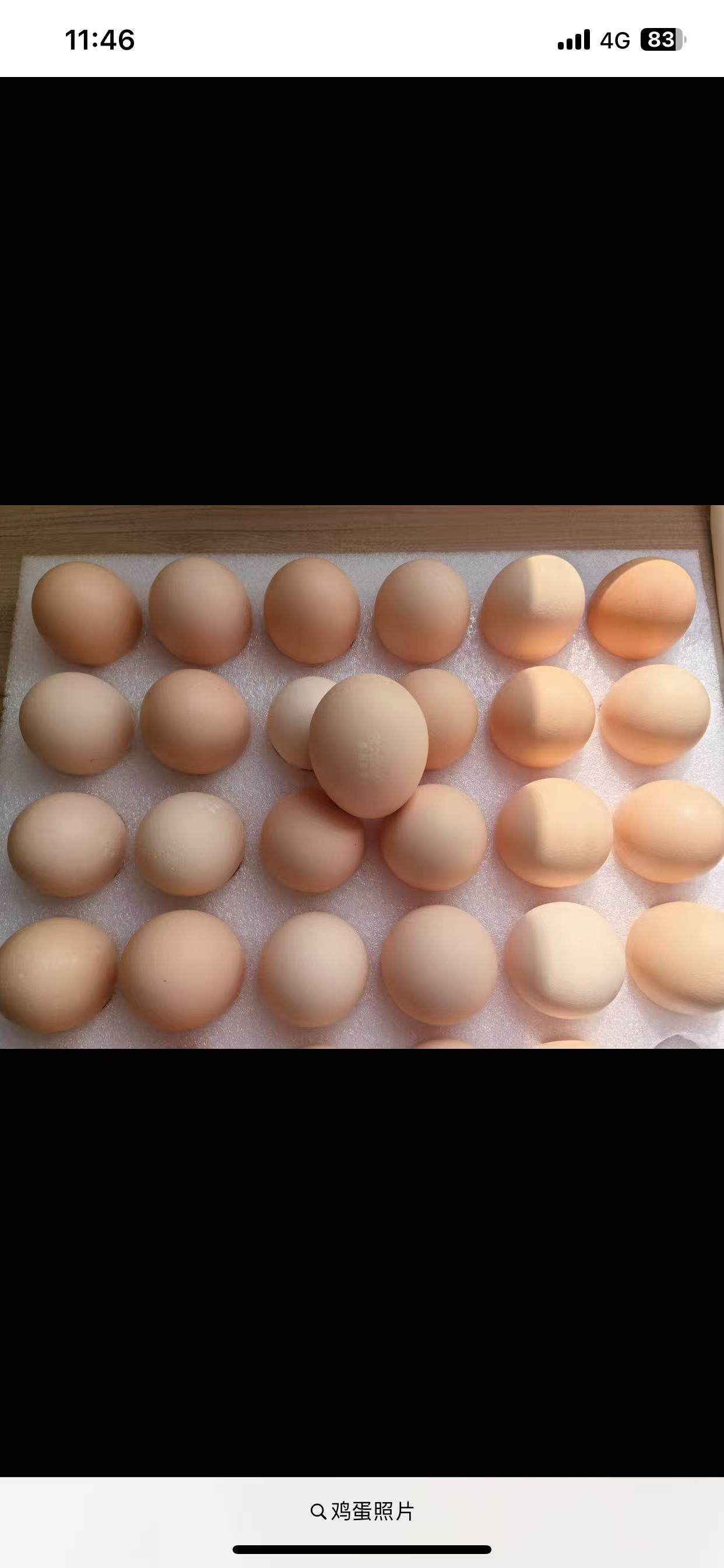 黄福宇品牌货源土鸡蛋