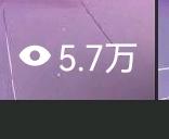 赖晨找合伙人小说推文项目，绿色稳定，独立后台，日结。时间自由，操作简单