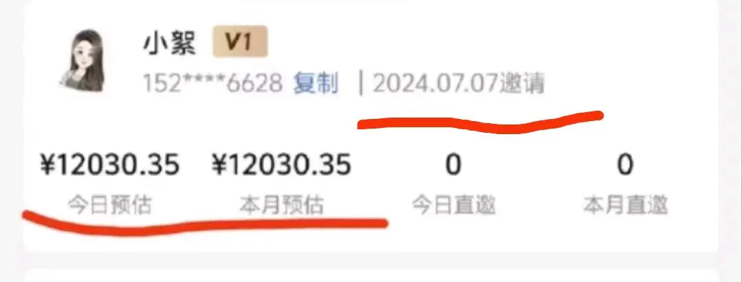 张女士找合伙人