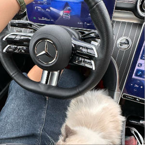 u客直谈实名认证呼先生