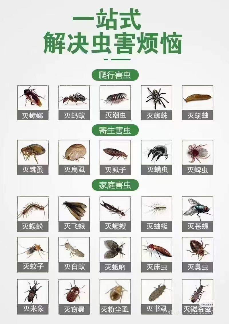 狄建祥其他供需四害消杀，灭蟑 灭鼠 灭蚊蝇寻合作