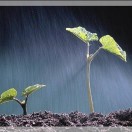 u客直谈实名认证周先生