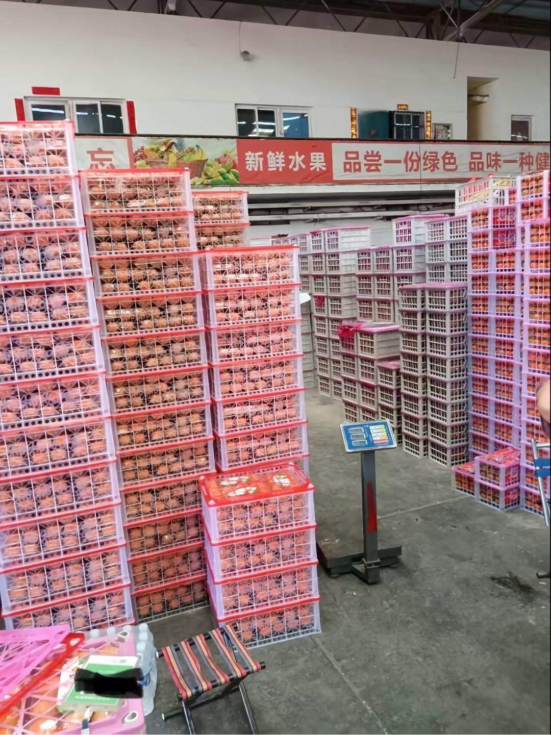 凌先生销货渠道寻找全国各地有优质农产品的合作商，原产地直发！
