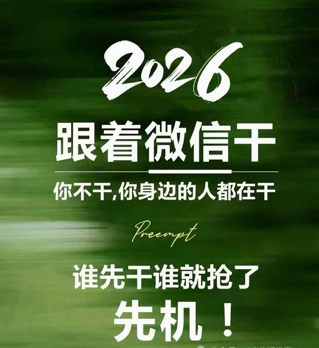 刘斐斐找合伙人