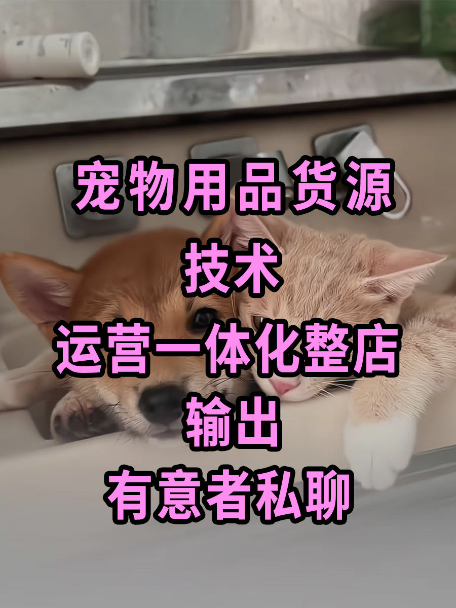 王钰婷品牌货源