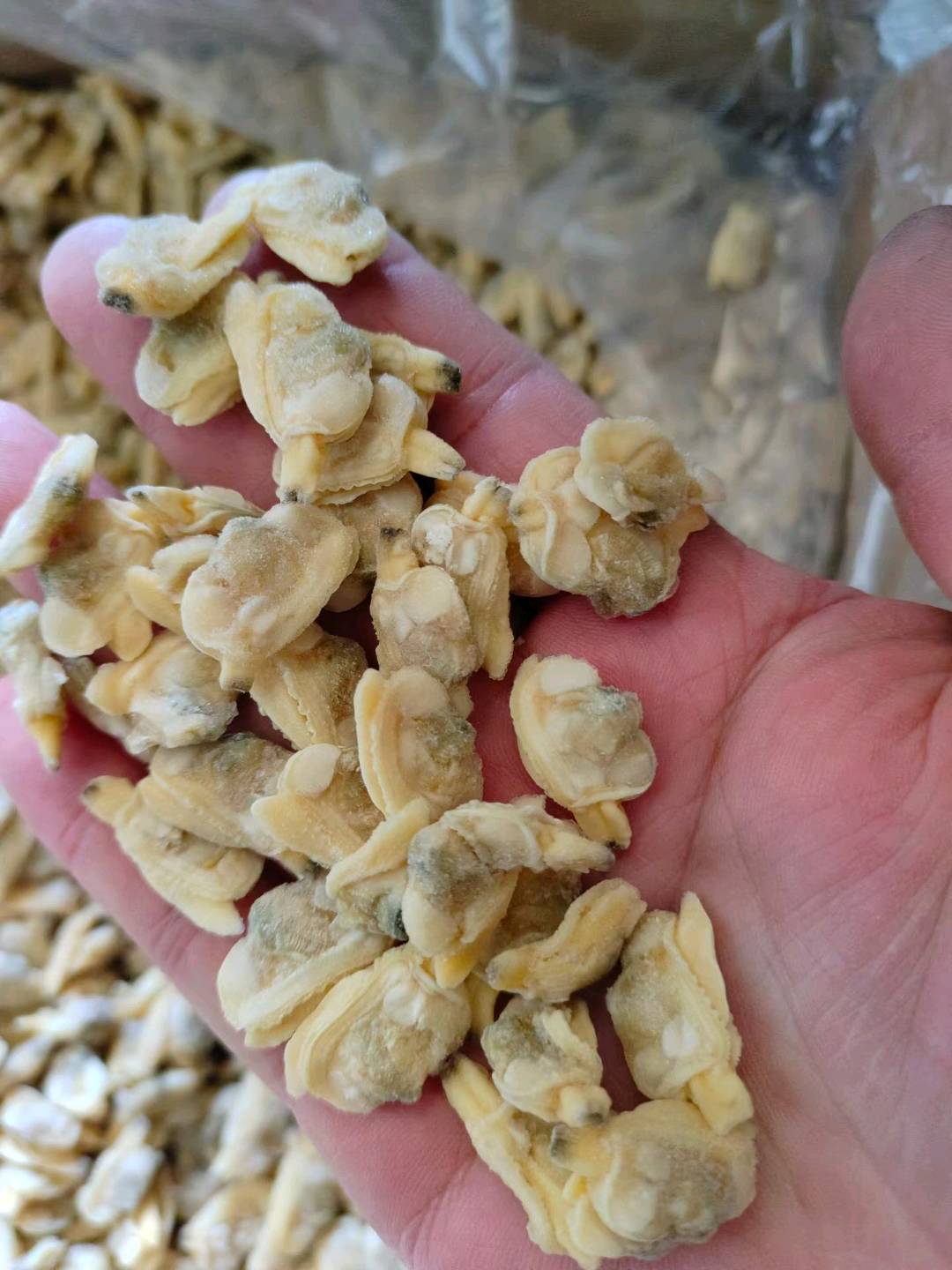 王珍义品牌货源
