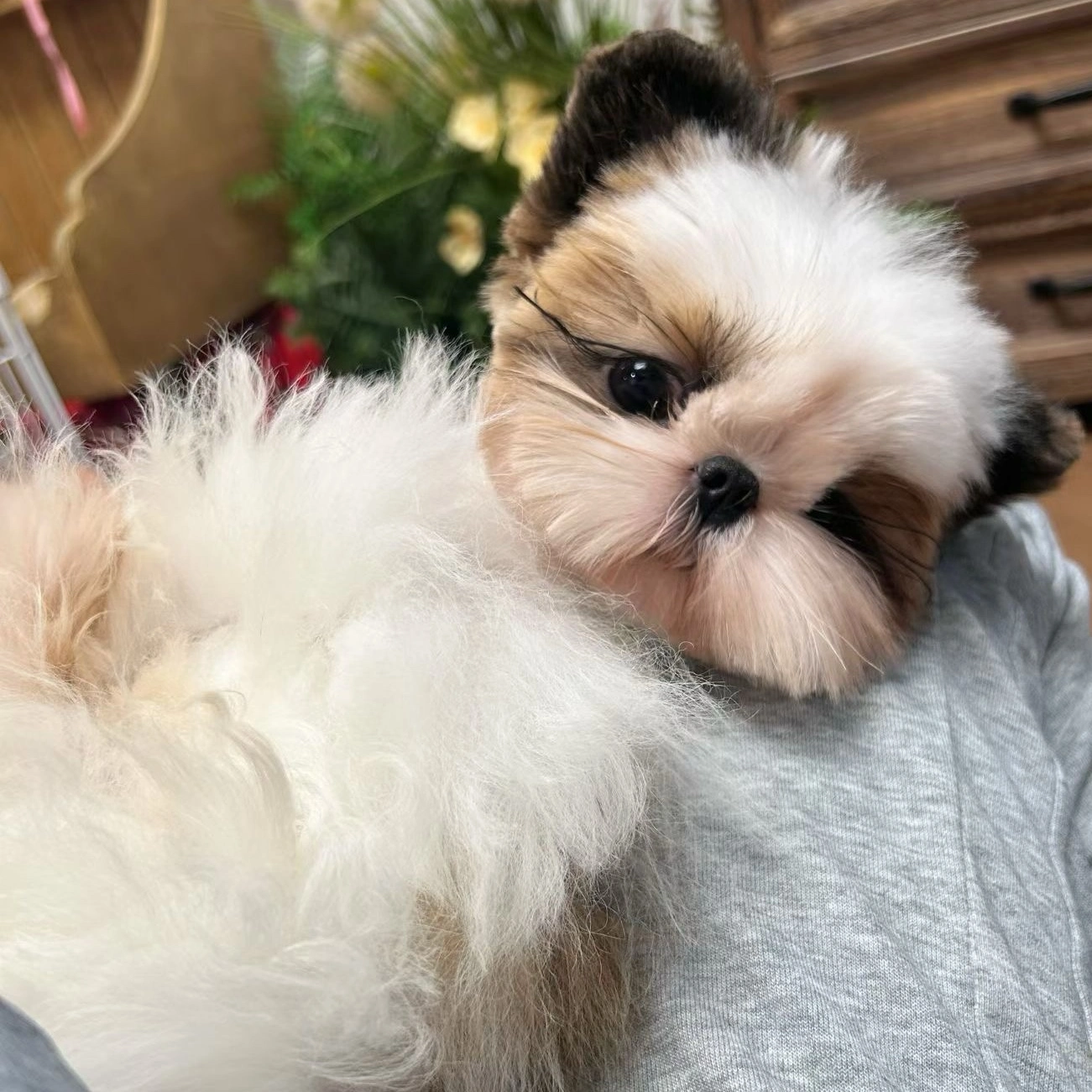 李静
