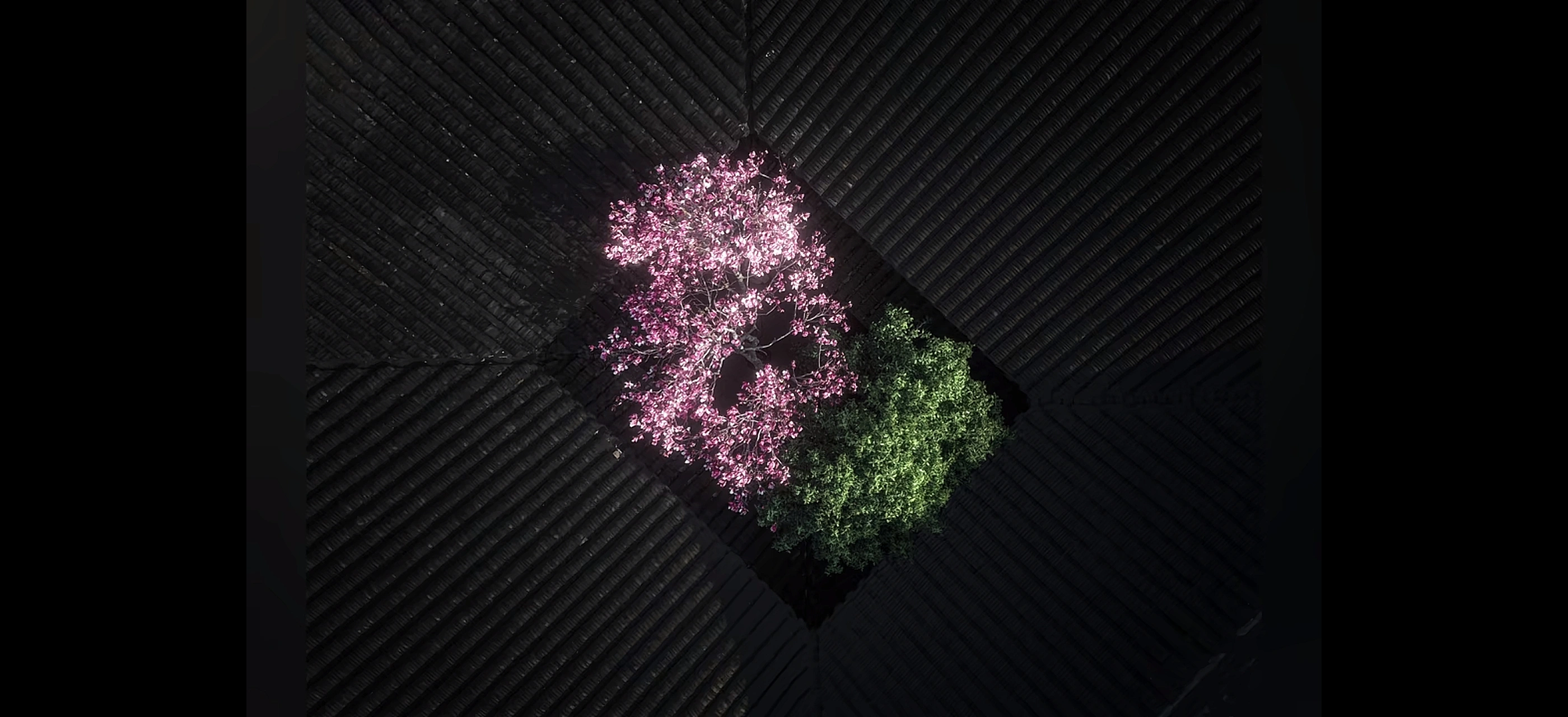 王检