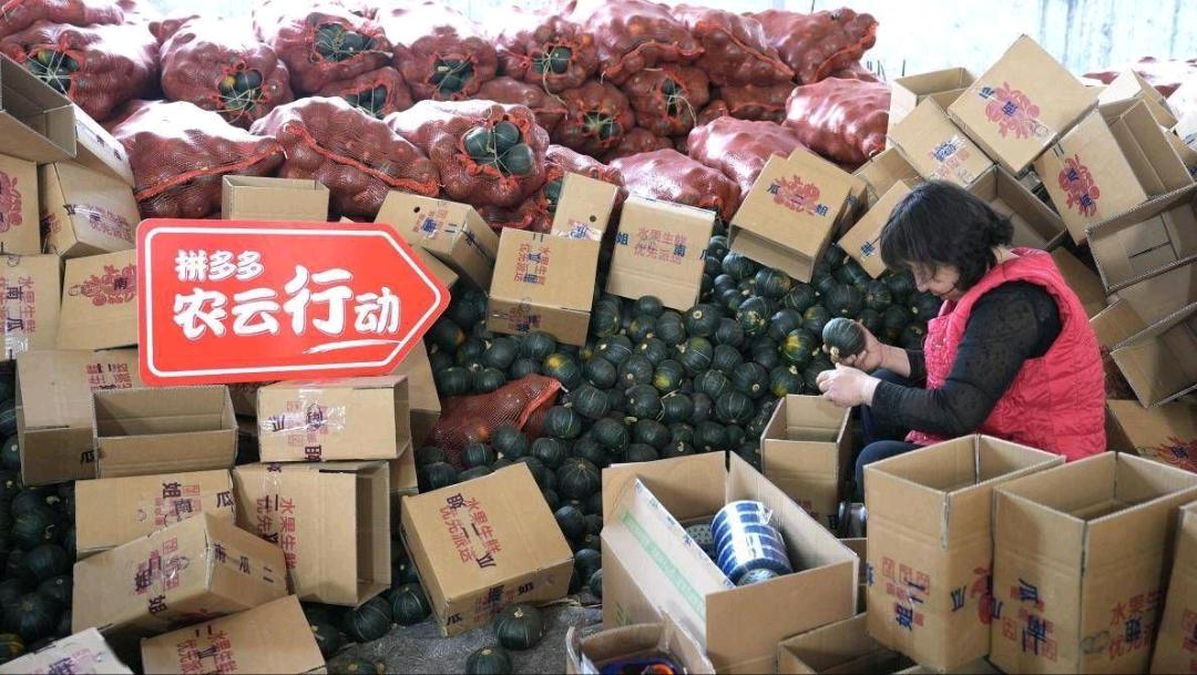 赫女士拼多多助农店铺。落地项目，绝不圈钱。