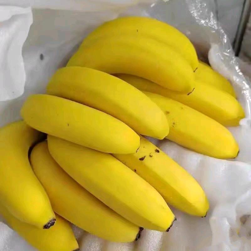 安先生品牌货源香蕉供应,车销直供,地摊老板,商超,有意者均可联系