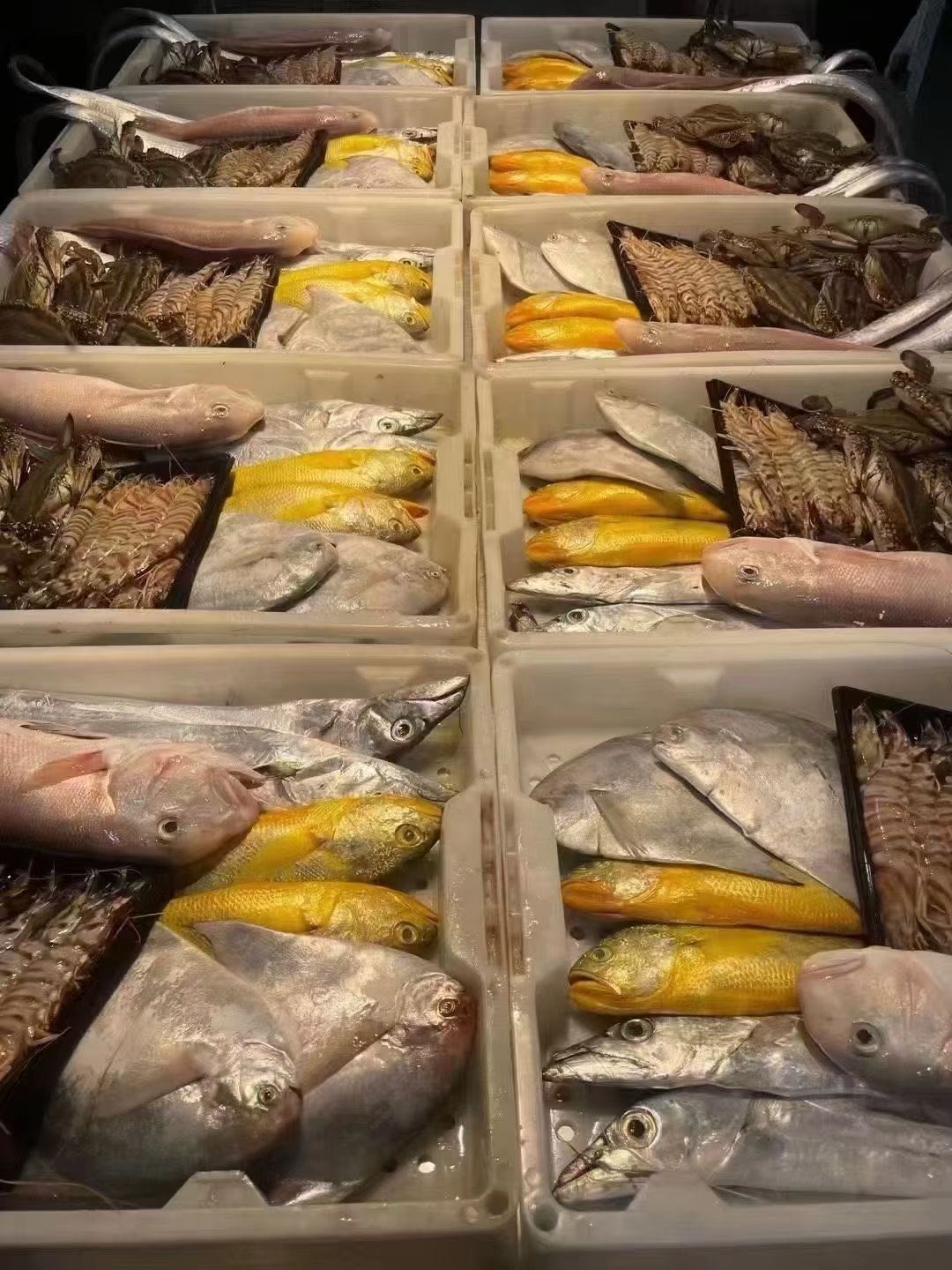 朱幸荣品牌货源海鲜礼包