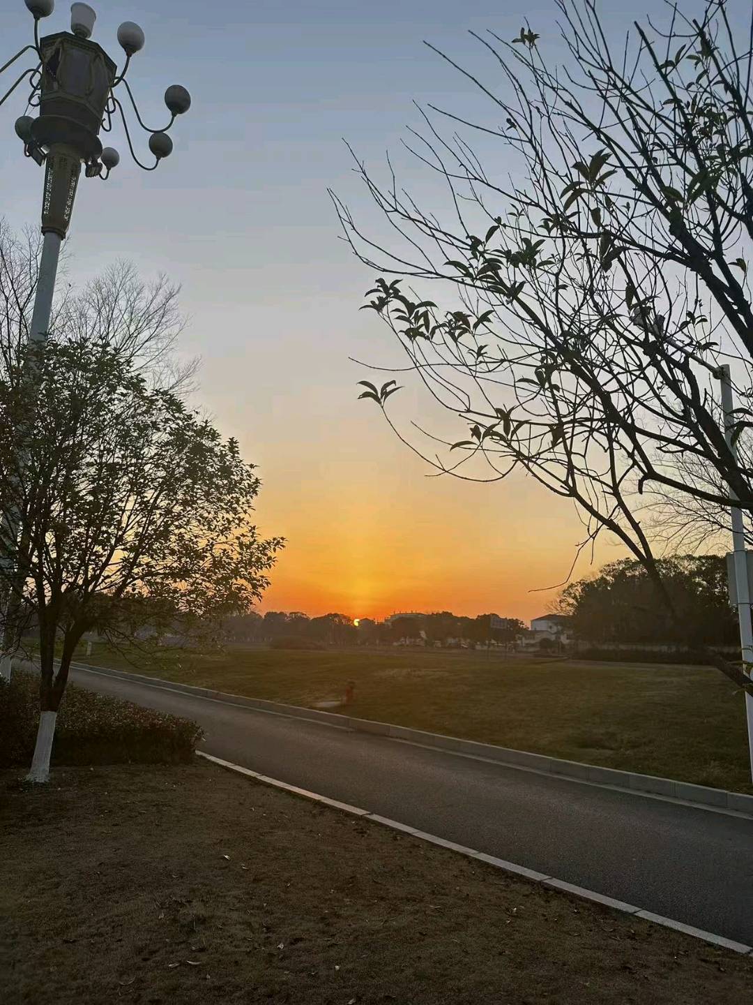 程女士新游戏打米全新玩法,不限制进图,禁止PK,装备永不掉,收益稳定,日结