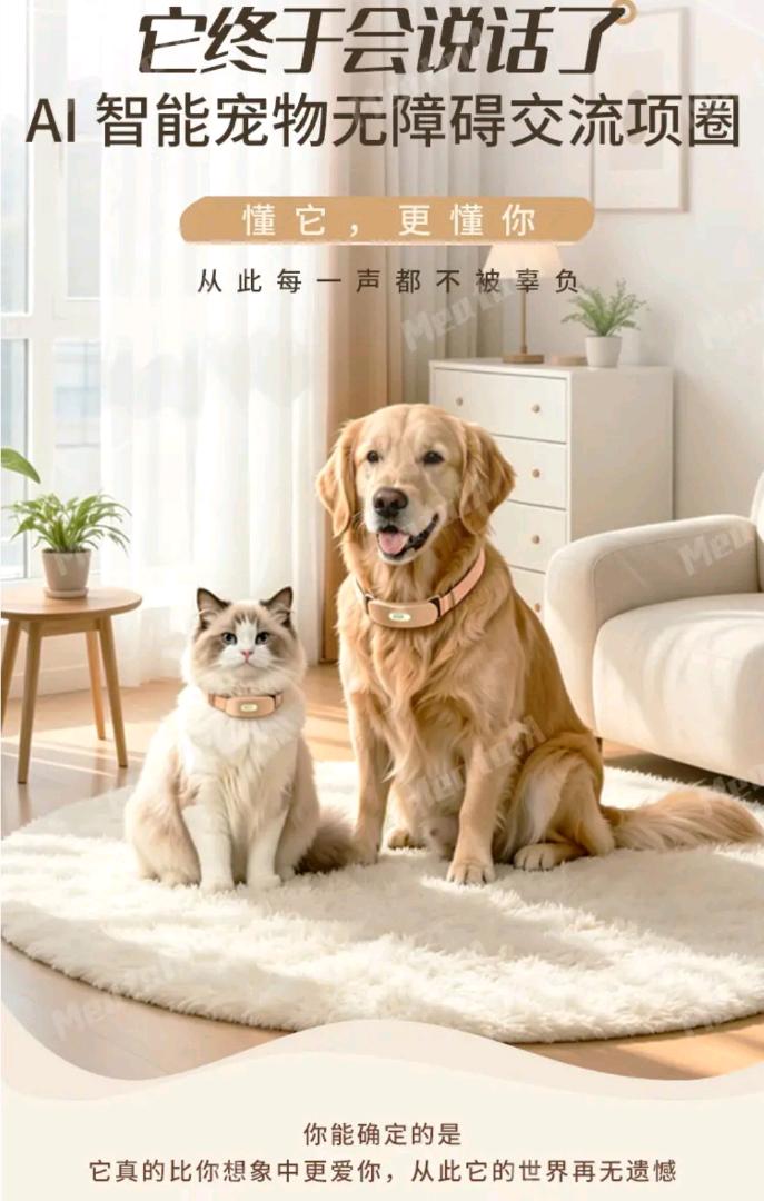 贾先生其他供需