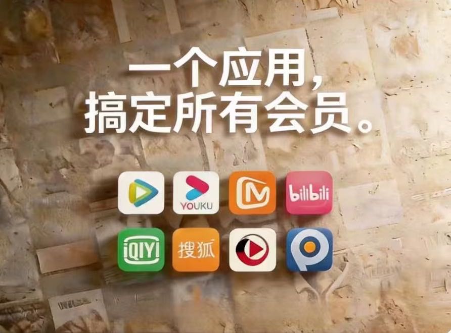 杨智康找合伙人利润高项目，低成本开通影视会员，爱奇艺腾讯等等—