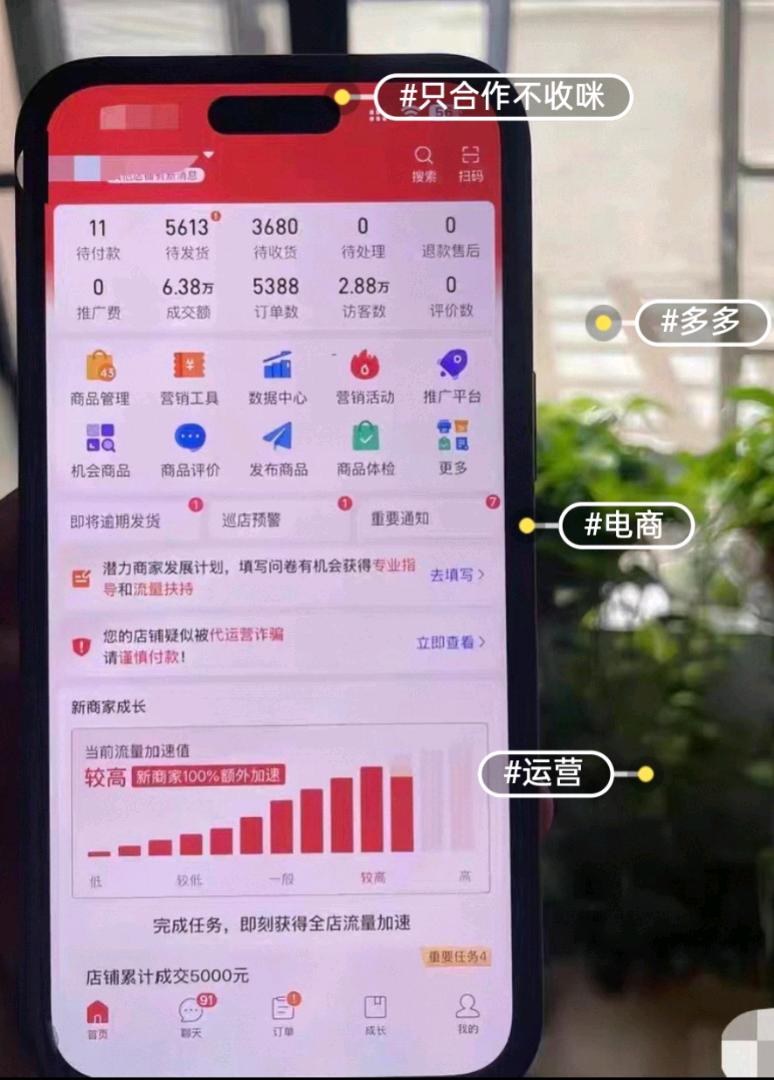 顾先生找合伙人