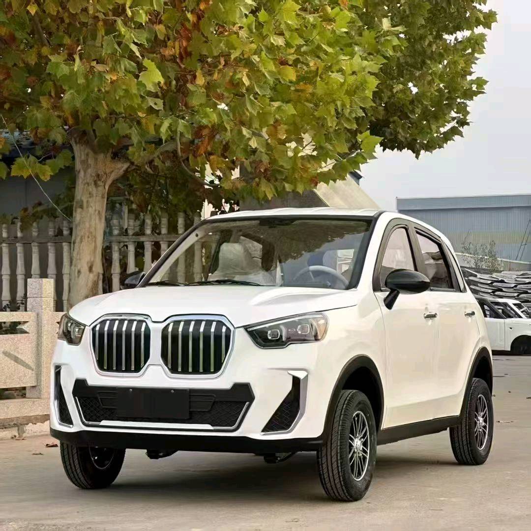 马强强老年产品  低速代步车  样式多款式好