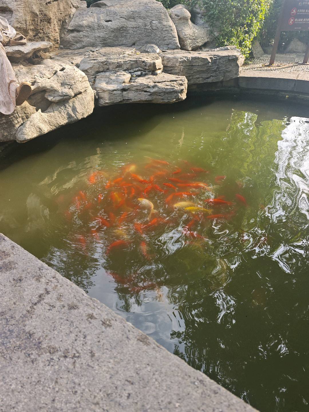 向胡平其他供需寻找合作伙伴，代理