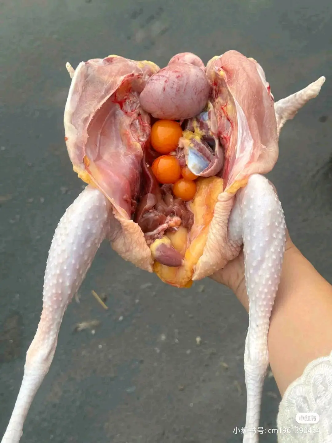 张俊品牌货源我们有国产大公牛肉、草饲黄牛肉,山羊肉,黑猪肉,竹林土鸡,稻田鸭等