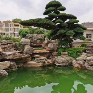 邵向昭