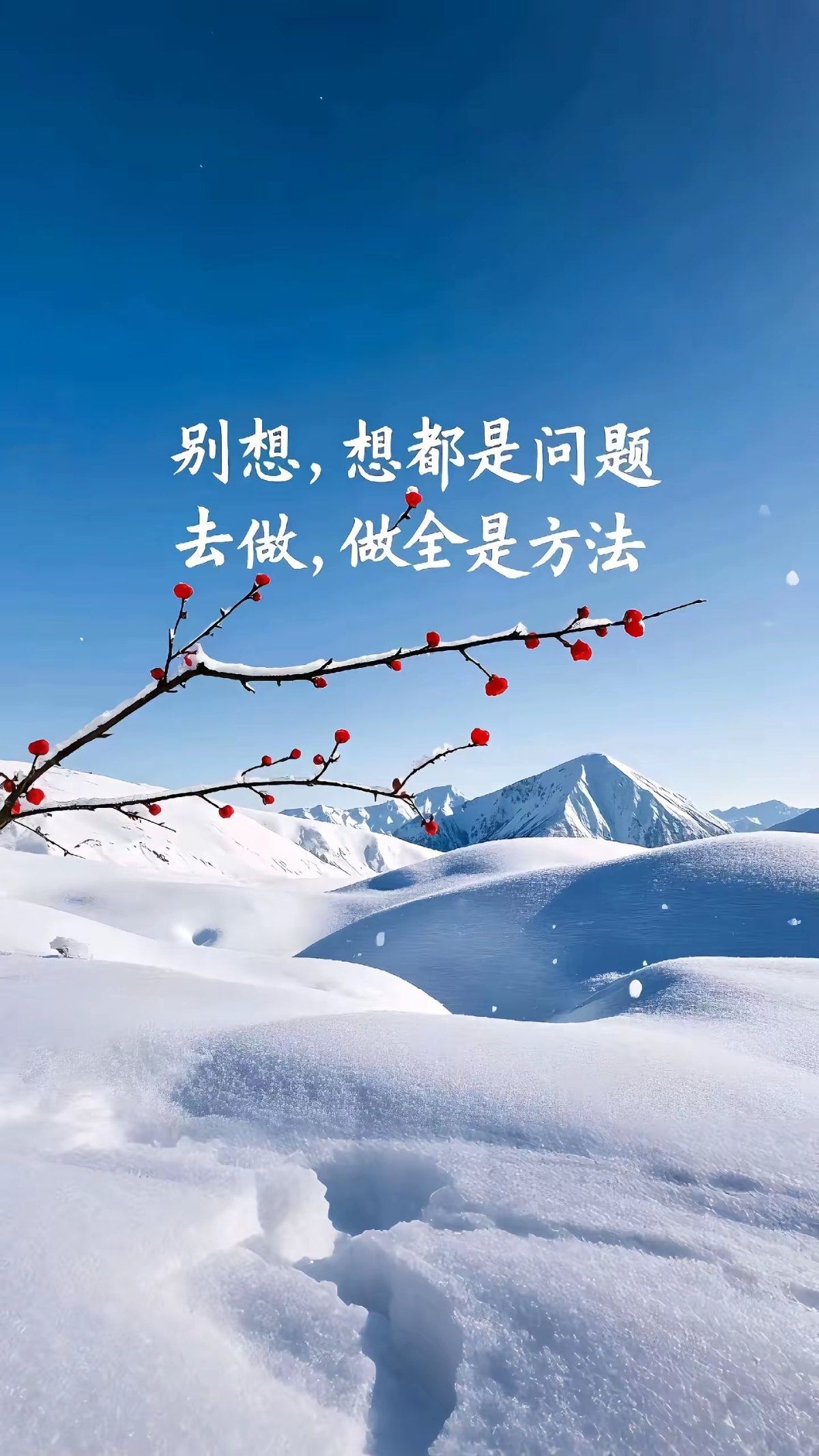 欧先生找合伙人有电脑或备用手机的来，日结。资.深游戏打米，稳定靠谱不掉装，不影响日常