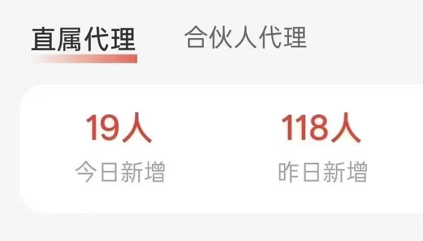 林浩镇地推项目
