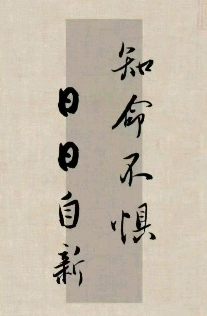 梁斯平地推项目